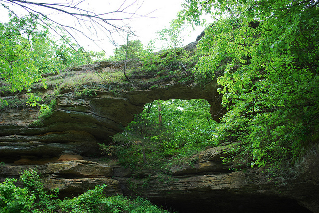 Natural Bridge State Park