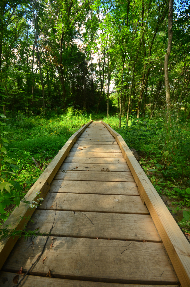Boardwalk on the IAT