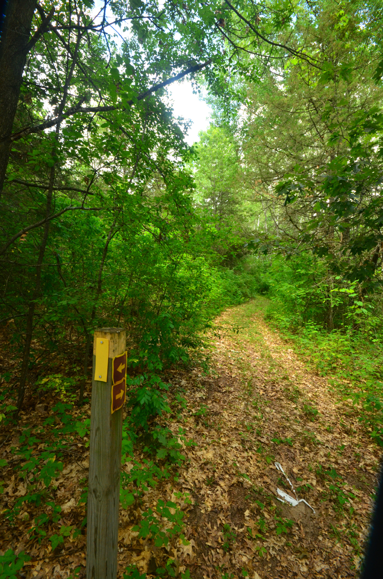 Follow the yellow-blazed path