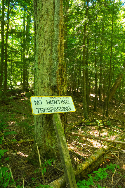 27412579882_d75ae86598_z